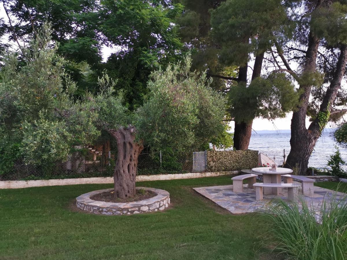 Ca' Del Mare 35M2 Villa Kalogria  Luaran gambar